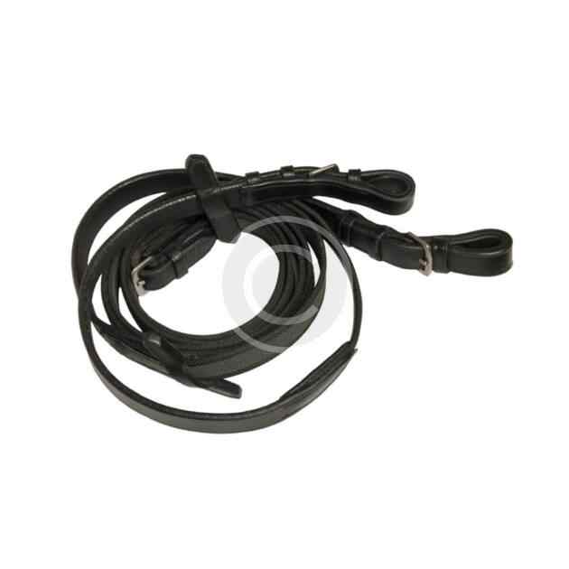 Reins