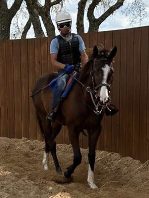 2021 Twirling Candy KY Colt